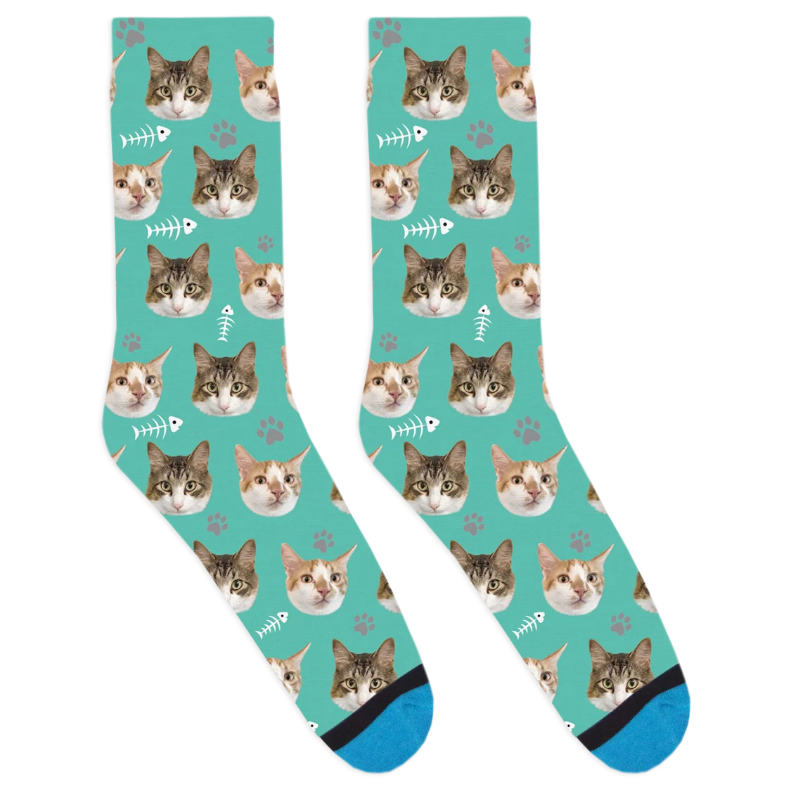 Chip Prince and Katie Socks
