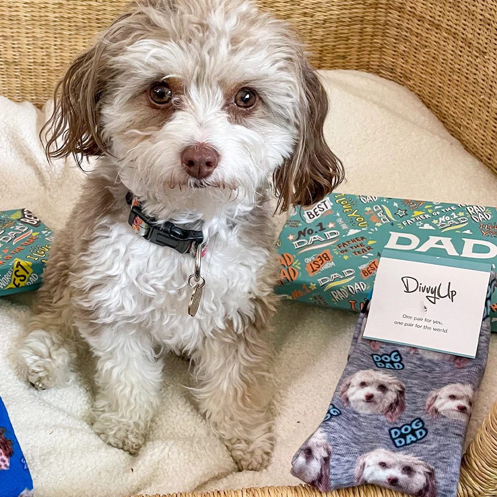 Custom Dog Socks - Image 27