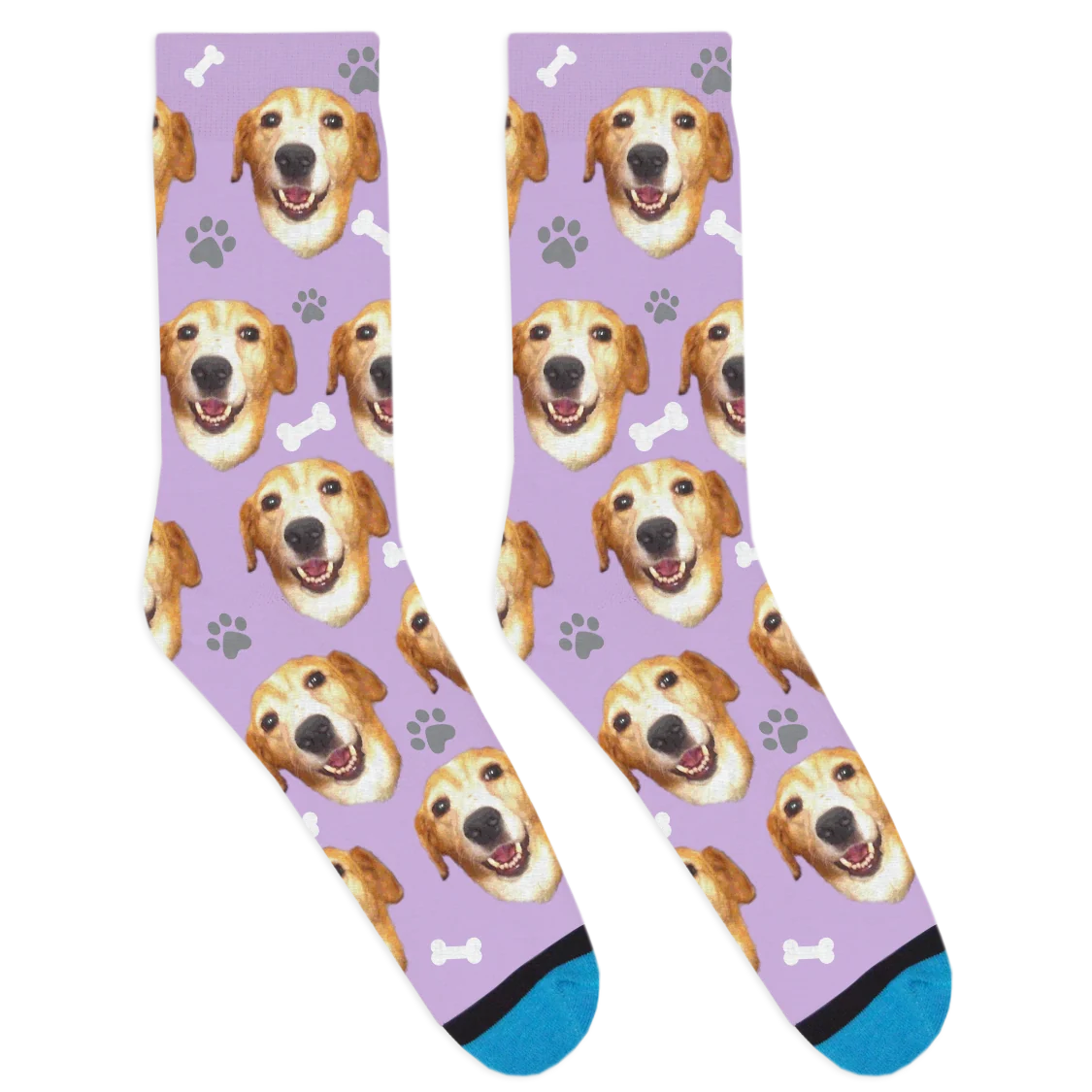 Custom Dog Socks - Image 5