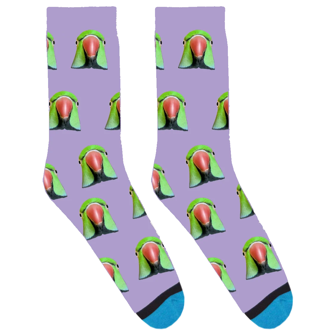 OMPB Socks
