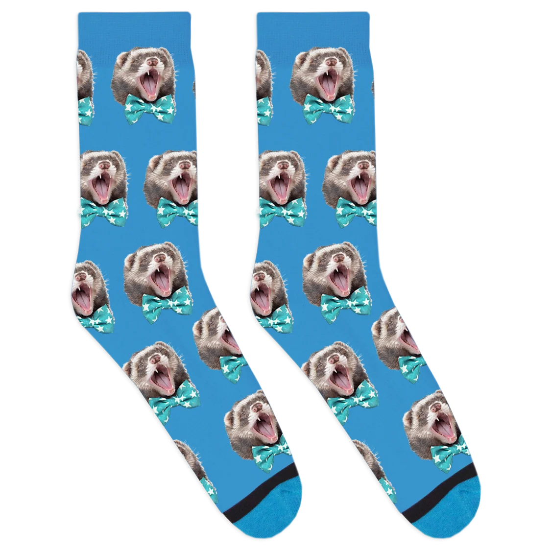 Mr. Moose the Famous Ferret Socks